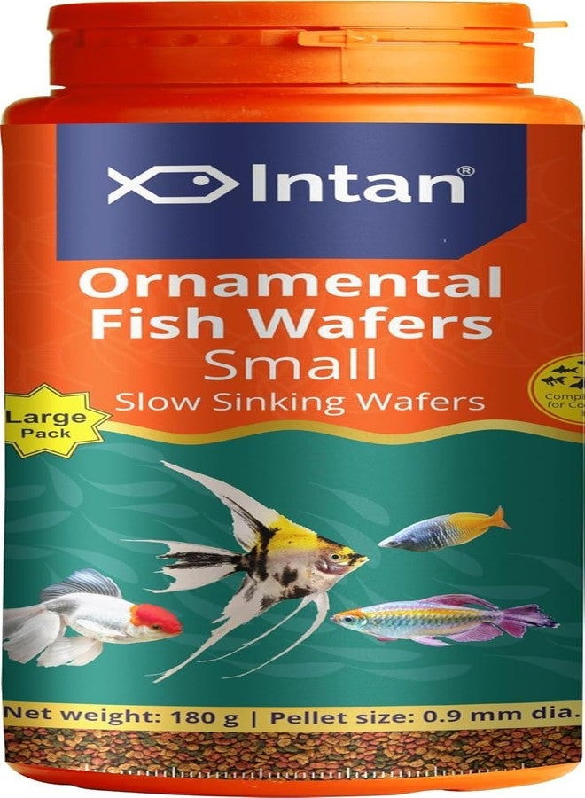 كينكو إنتان طعام أسماك الزينة المائية | رقائق صغيرة بطيئة الغرق لأسماك الزينة | رقائق لصحة ونمو الأسماك | عبوة كبيرة (180 جم) - Image 1